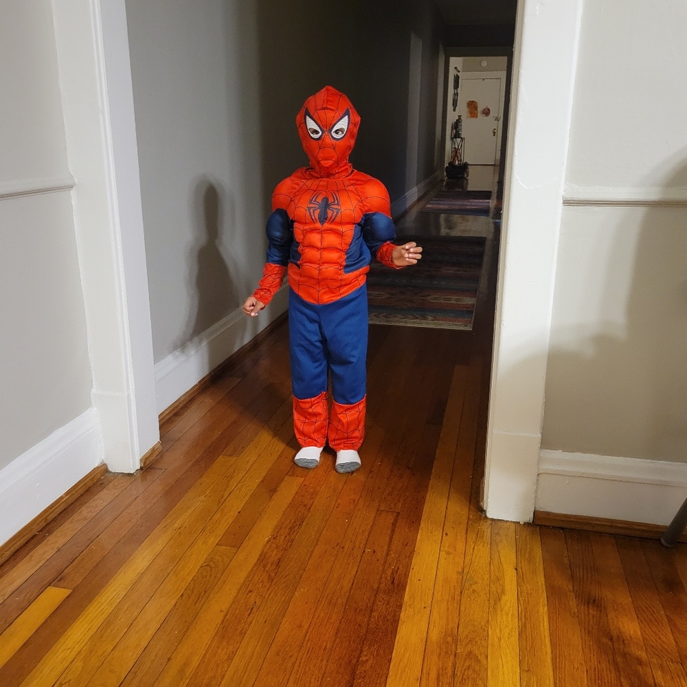Spiderman Costume